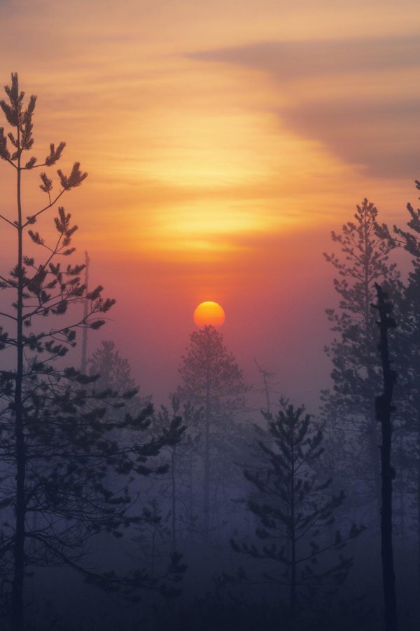 красивейший рассвет