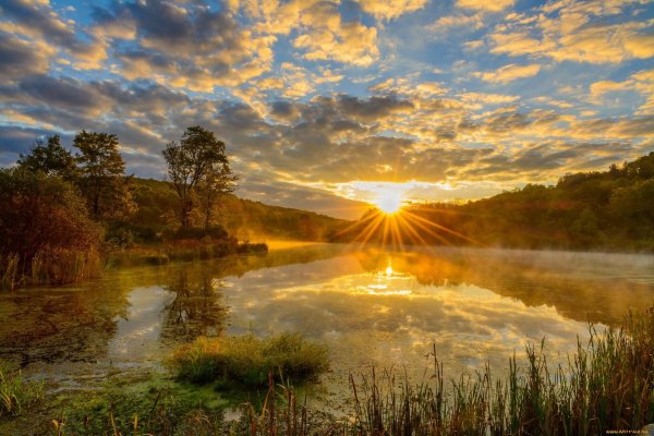 утреннее солнце