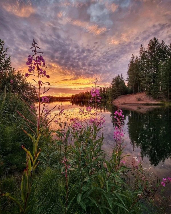 красивейшие пейзажи