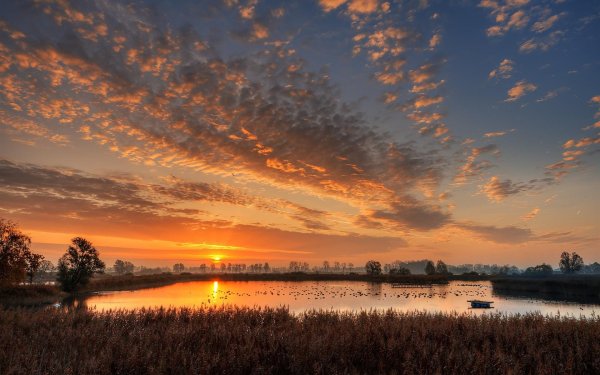 рассвет над рекой  федор васильев