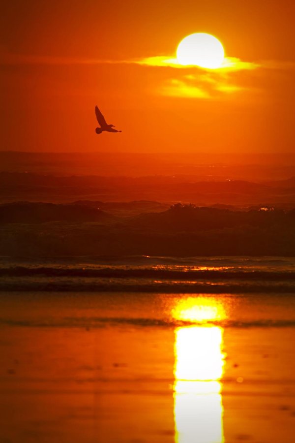 природа закат