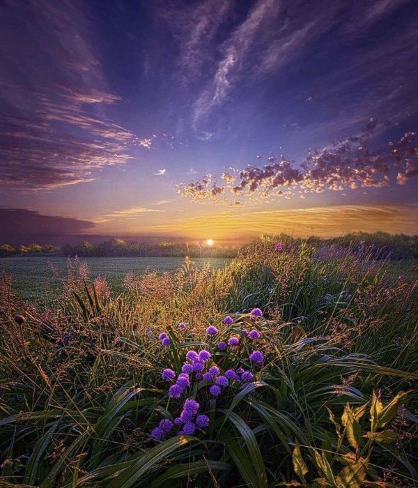 красивые рассветы