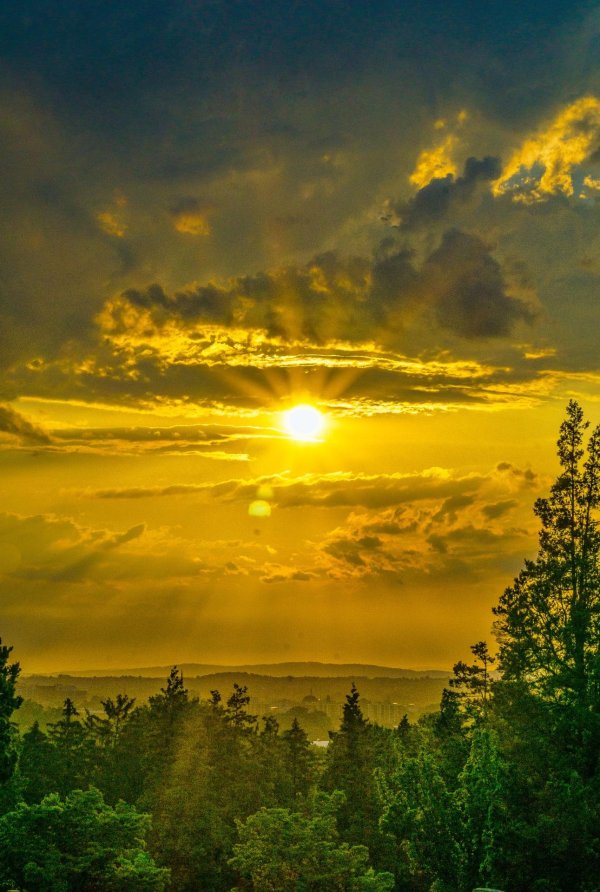 солнечный пейзаж