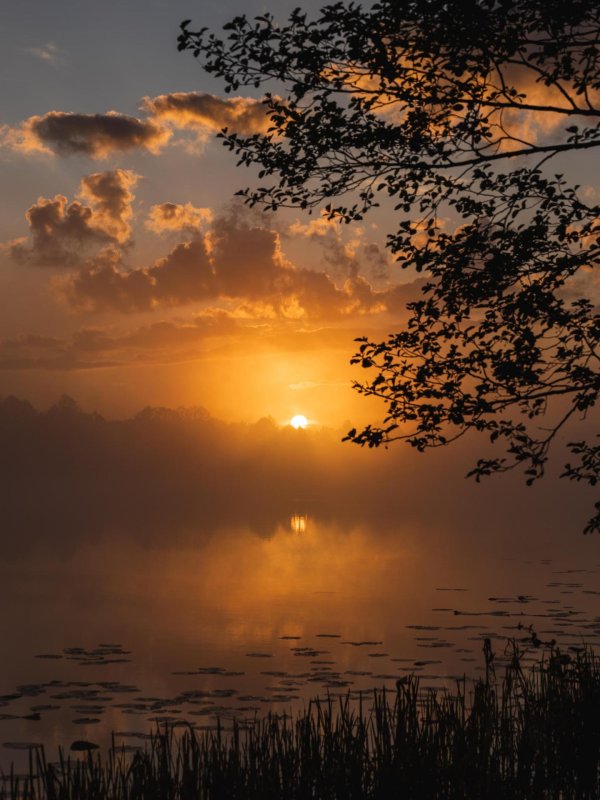закат над озером