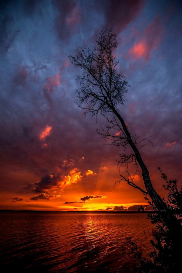 пейзаж закат