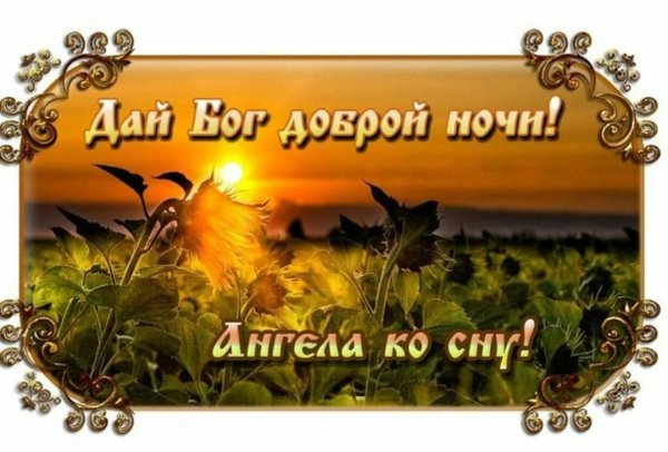 благословенного ночи