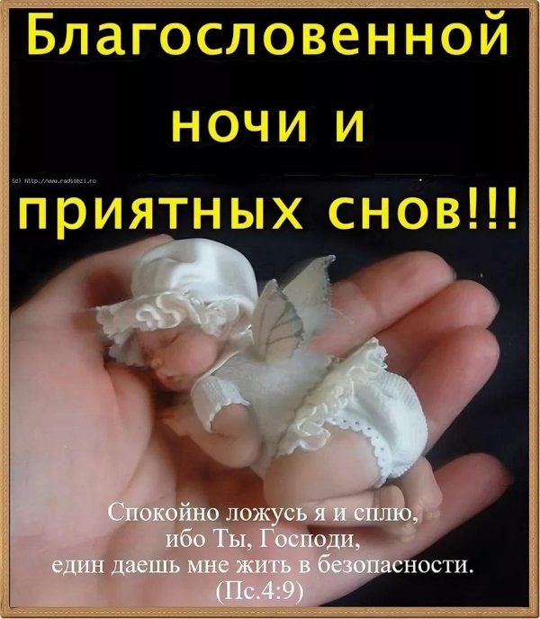 благословенной ночи сладких снов