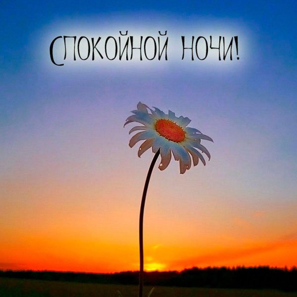 доброй летней ночи