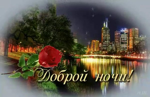 доброй ночи добрый вечер