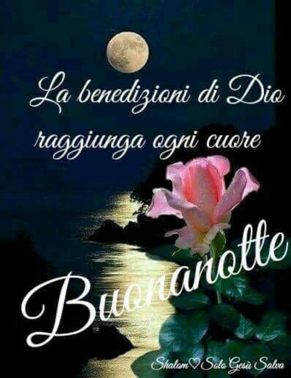 buona notte