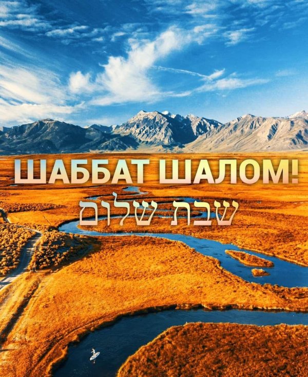 shabbat shalom