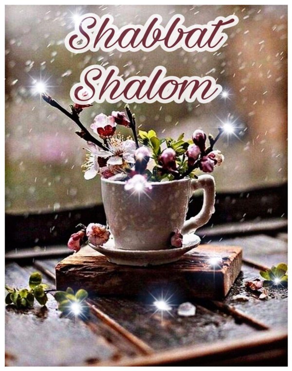 shabat shalom