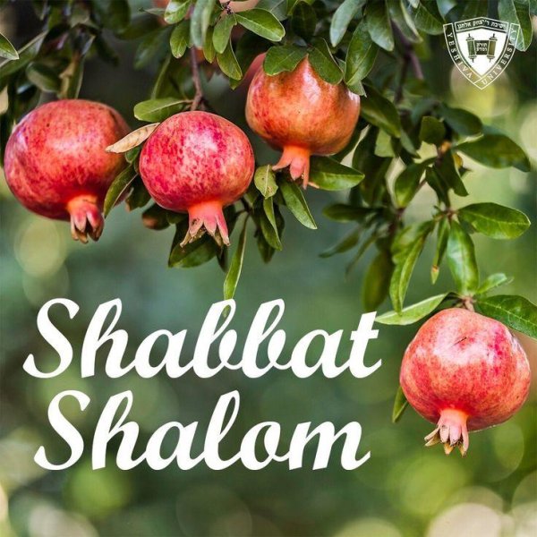 shabbat shalom