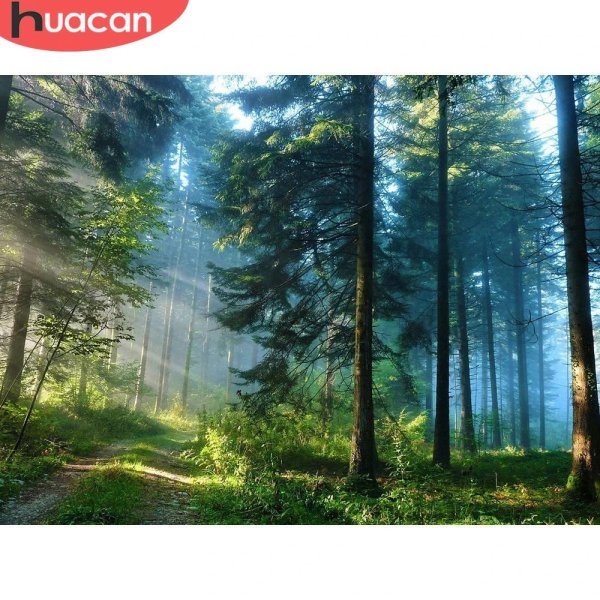 лесной пейзаж