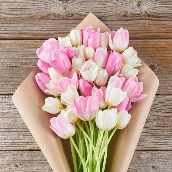 нежный букет тюльпанов