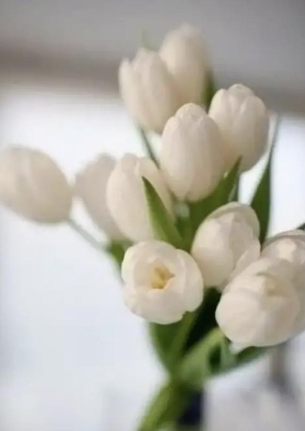 весеннего настроения