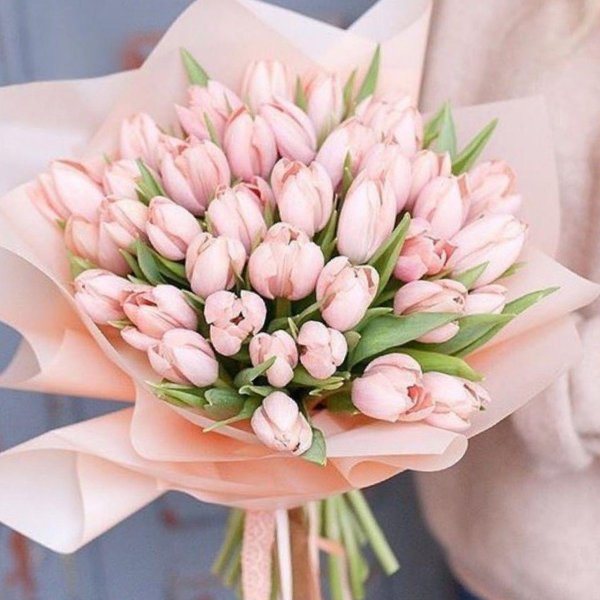 букет тюльпанов пинтерест