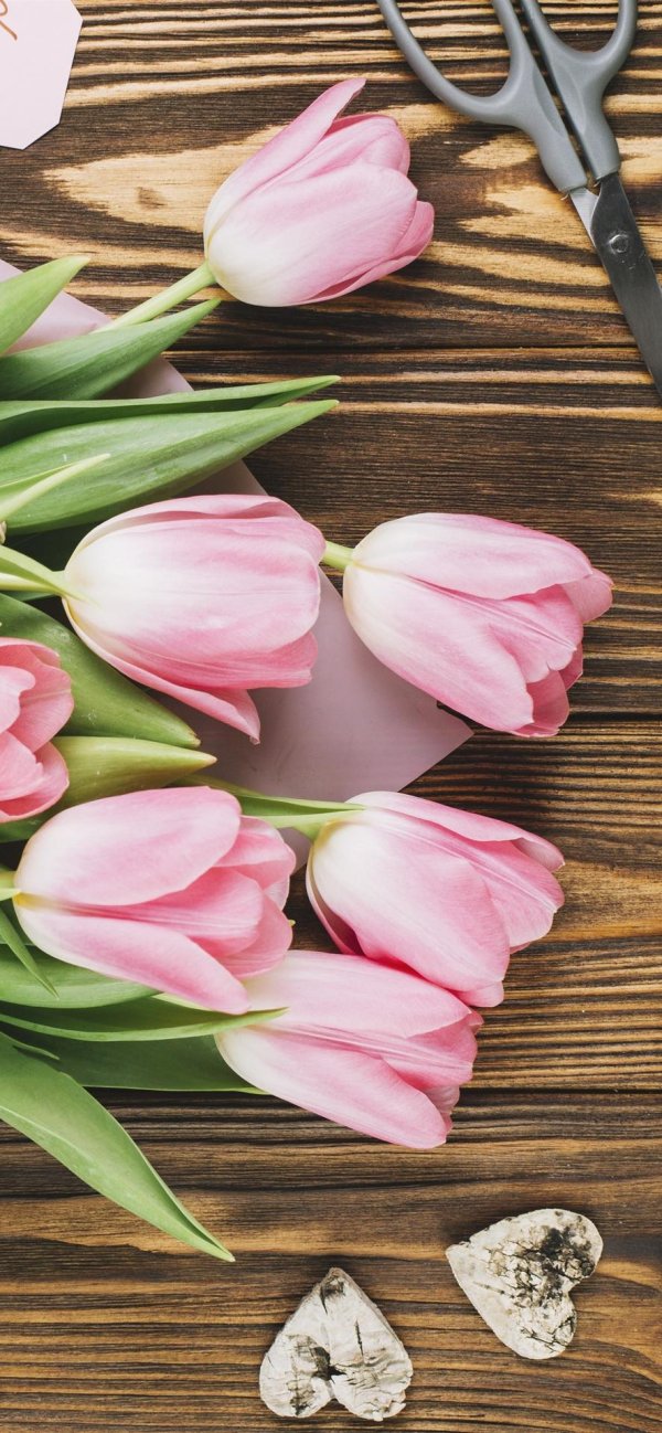 букет тюльпанов в руках