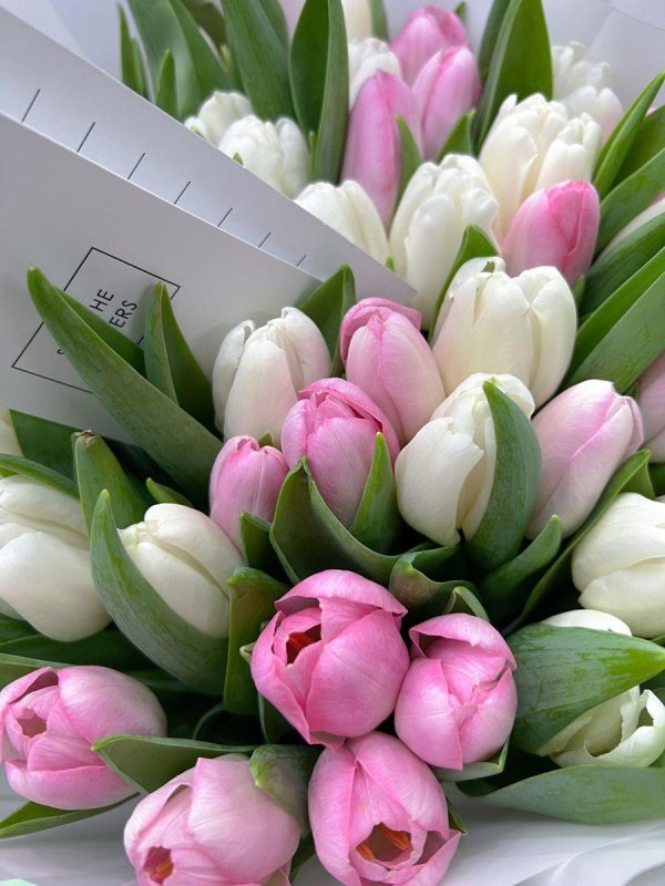 букет цветов тюльпанов
