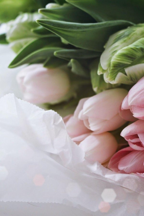 нежный букет тюльпанов