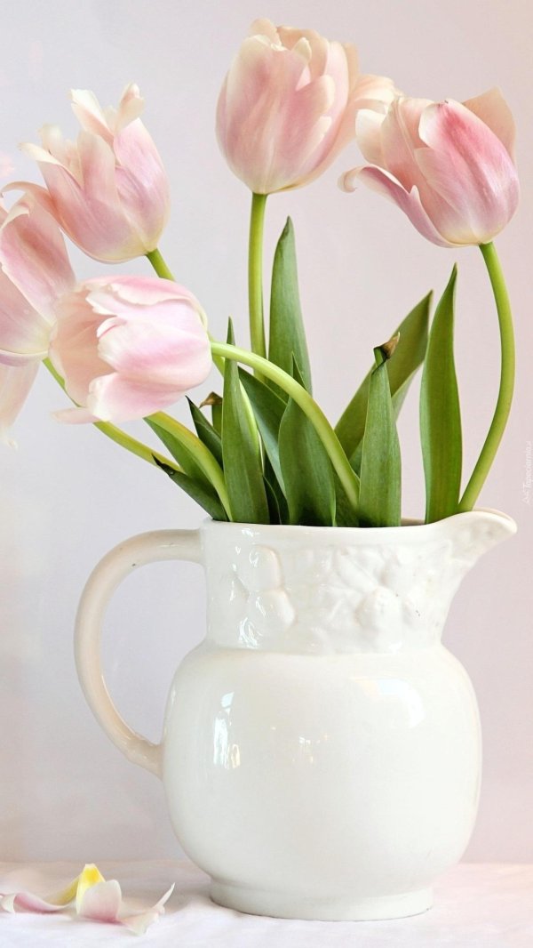 ваза с белыми тюльпанами