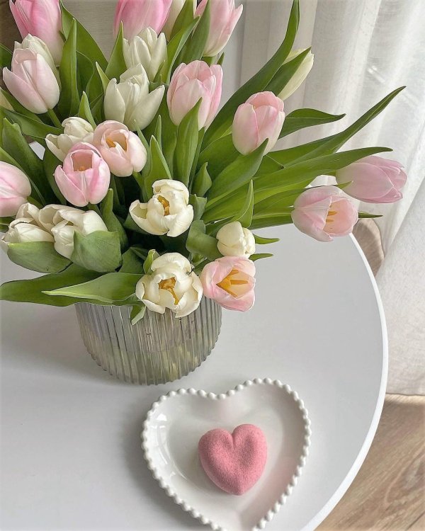 цветы букет тюльпанов