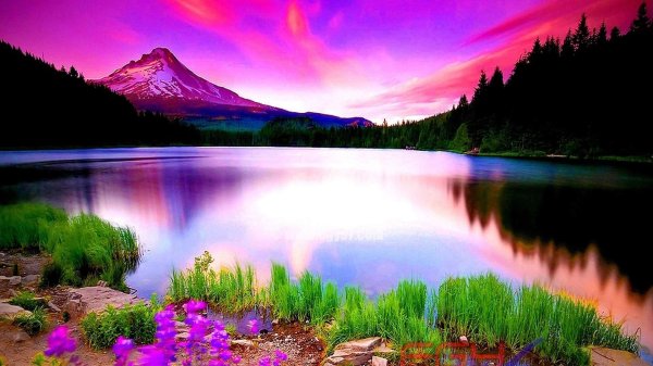 пейзаж озера