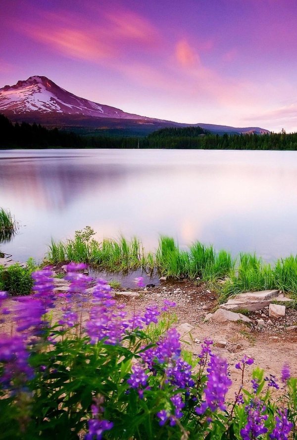 красивейшие пейзажи