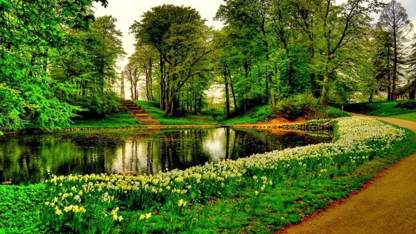 keukenhof gardens нидерланды