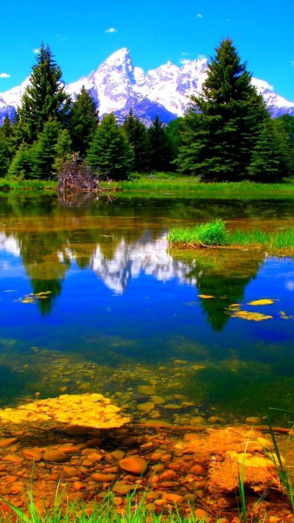 пейзажи красивые