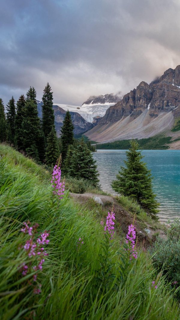 озеро боу канада