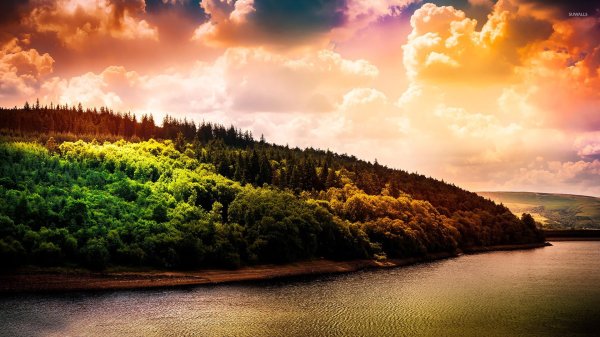 обои full hd природа