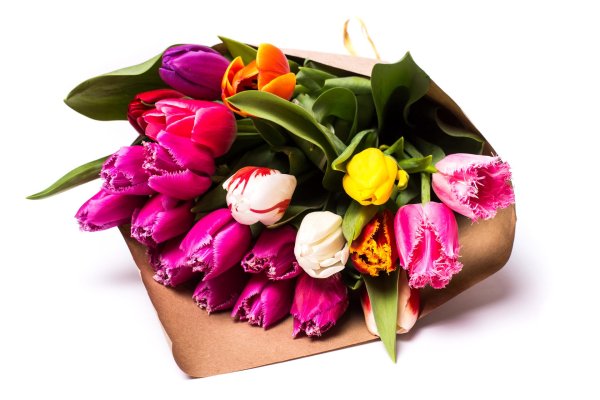 тюльпан букетный