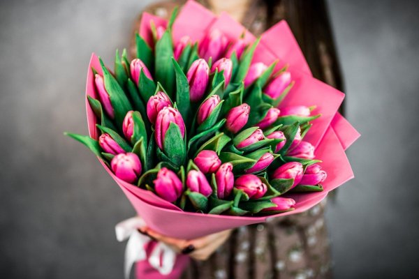 розовые тюльпаны букет