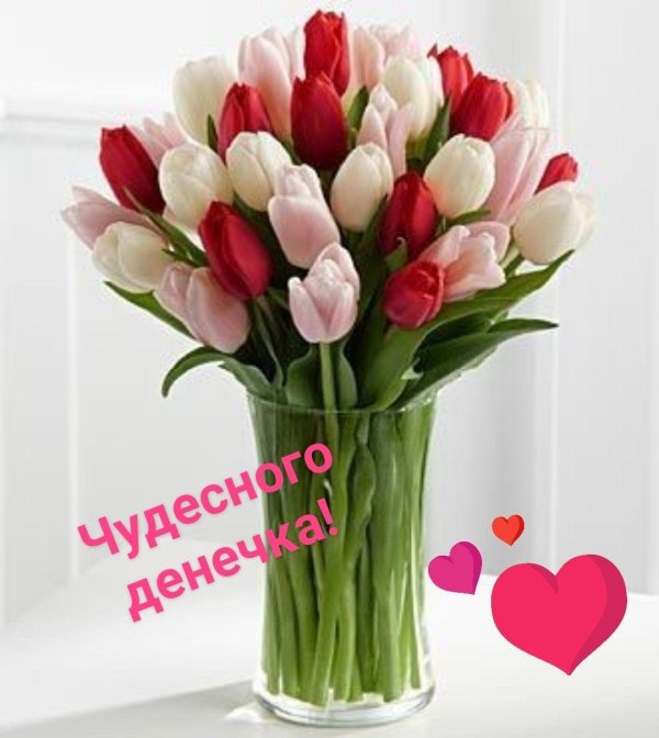 тюльпан в вазе