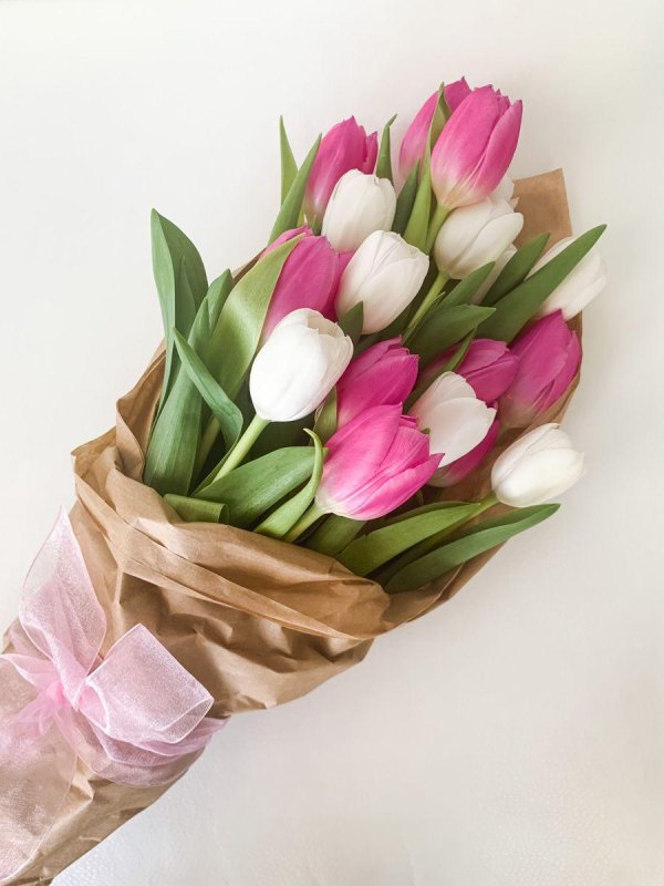 сухие тюльпаны