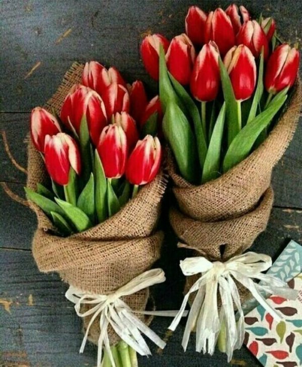 красиво упаковать тюльпаны