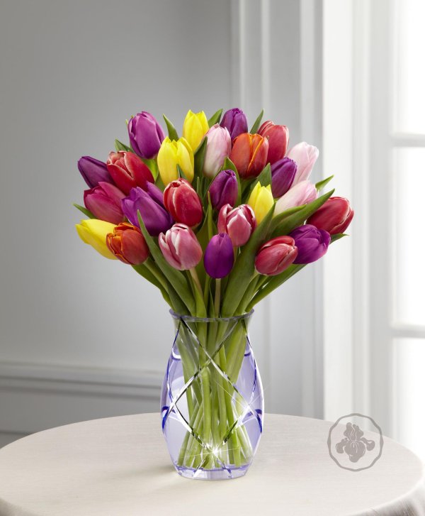 мелкоцветные тюльпаны