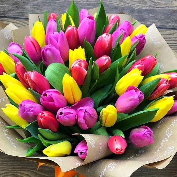 разноцветные тюльпаны