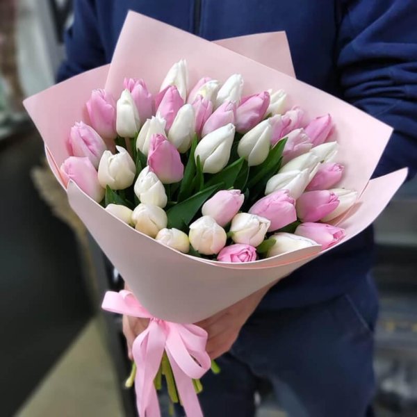 бело розовые тюльпаны