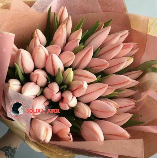 красивые букеты тюльпанов