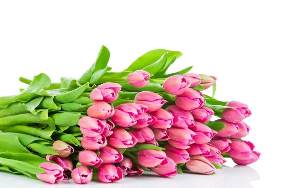 Тюльпаны букеты