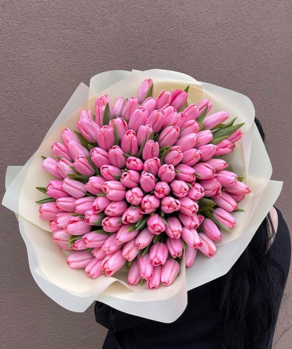 розовые тюльпаны