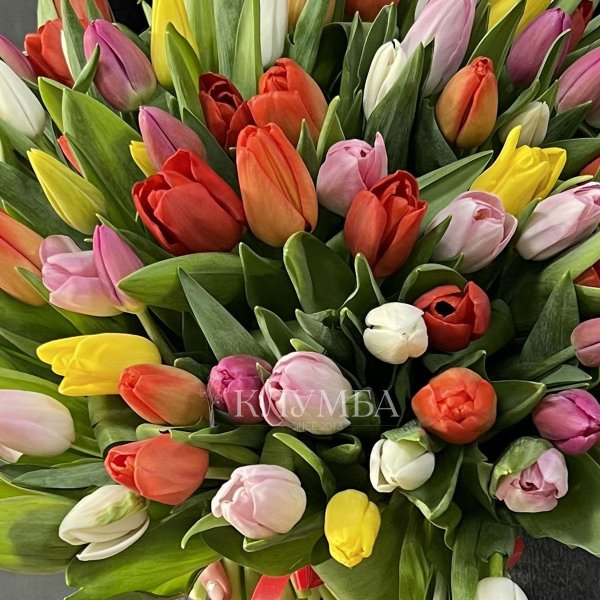 тюльпаны большой букет
