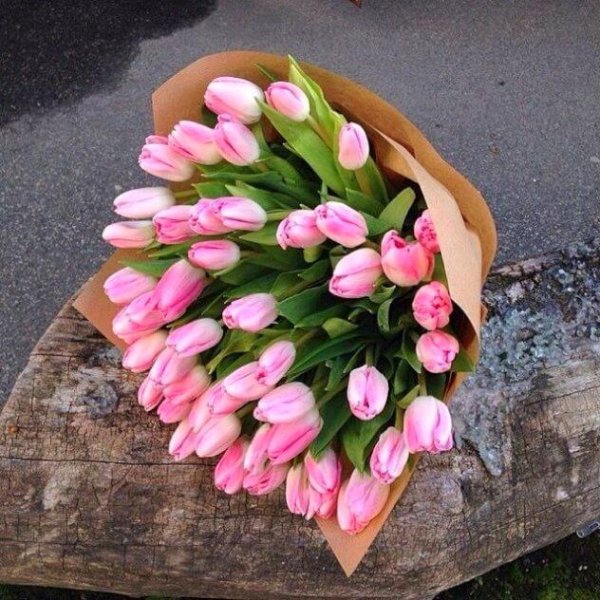 мелкоцветные тюльпаны