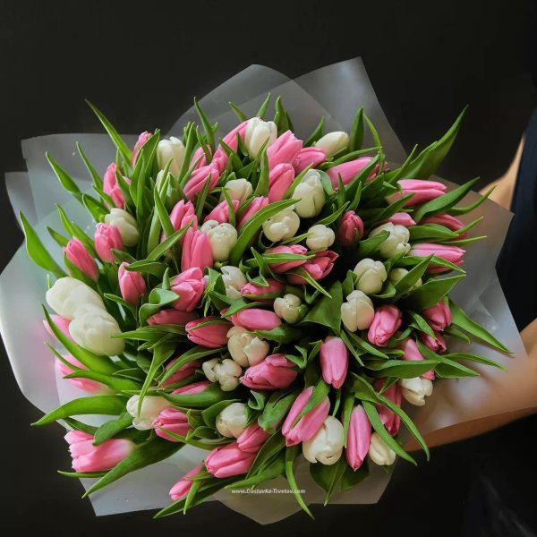 пионовидные тюльпаны