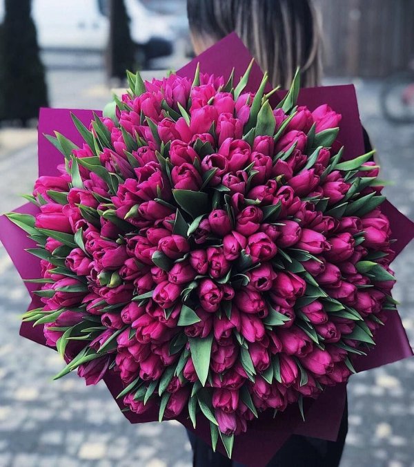 большие букеты тюльпанов