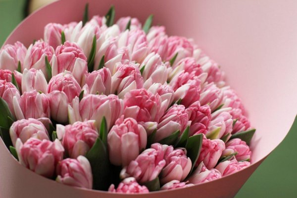 пионовидные тюльпаны