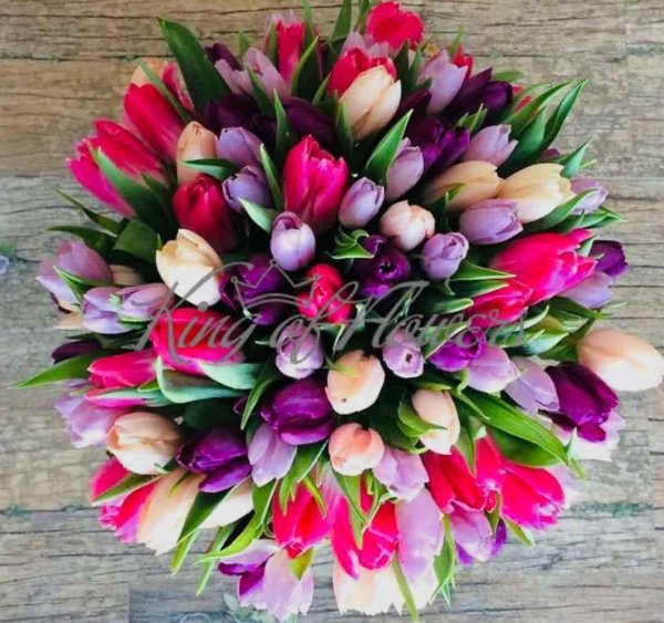 тюльпан букет