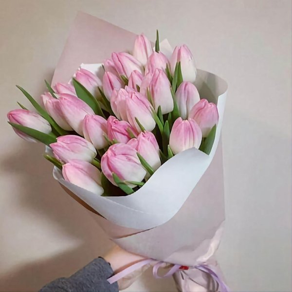 розовые тюльпаны